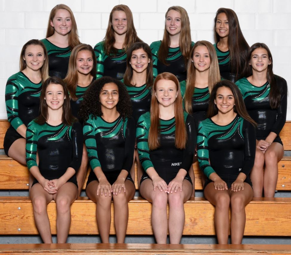 Gymnastics: Skyland Conference Tournament Preview 