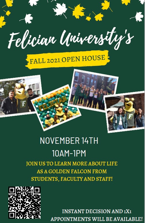 Felician University